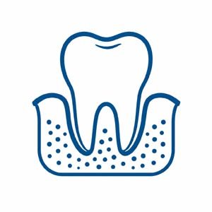 Periodontia